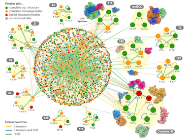 ybaY protein (Escherichia coli K12) - STRING interaction network