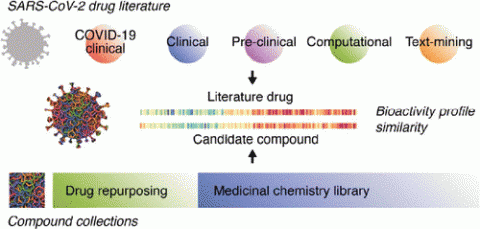 Bioactivity Profile Similarities To Expand The Repertoire Of Covid 19 Drugs Structural Bioinformatics And Network Biology Group